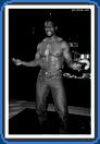 tall black bodybuilder actor terry crews