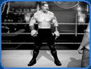 giant wrestler actor robert maillet