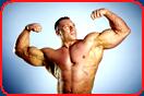 bodybuilder daniele seccarecci double biceps
